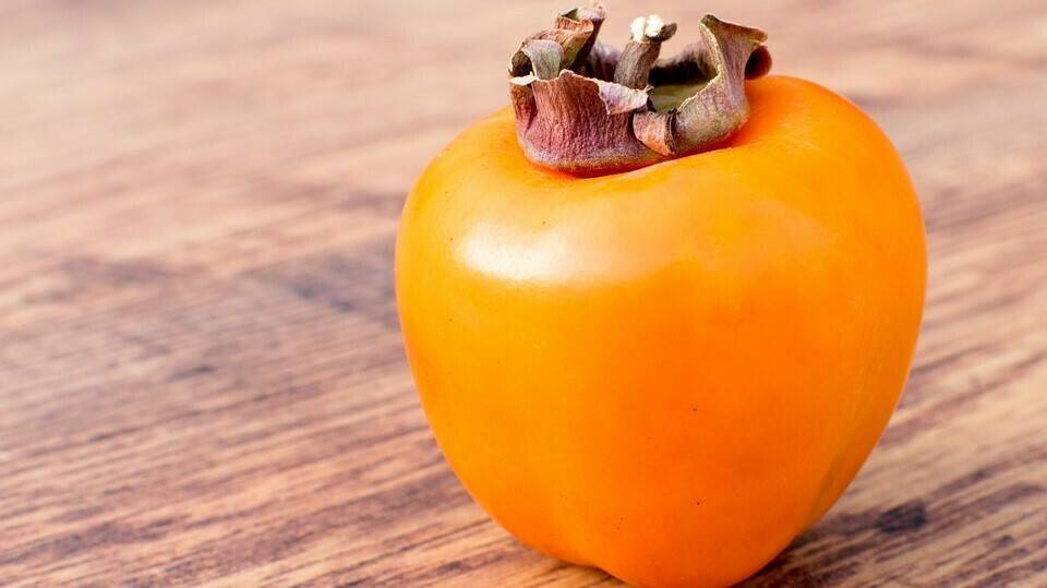 food-1056646_960_720|persimmon-1663186_960_720